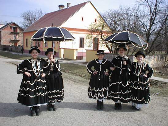 Posavska hrvatska, Slavonski Brod