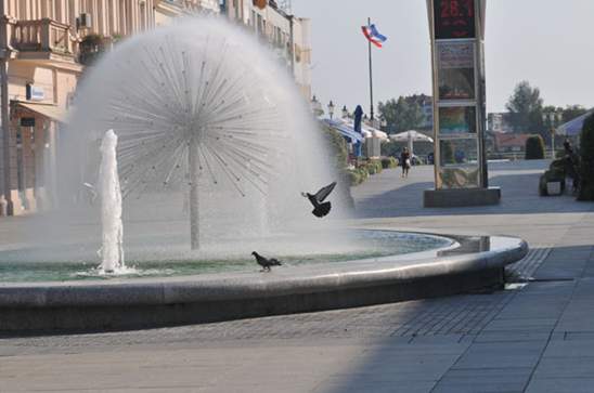 Posavska hrvatska, Slavonski Brod
