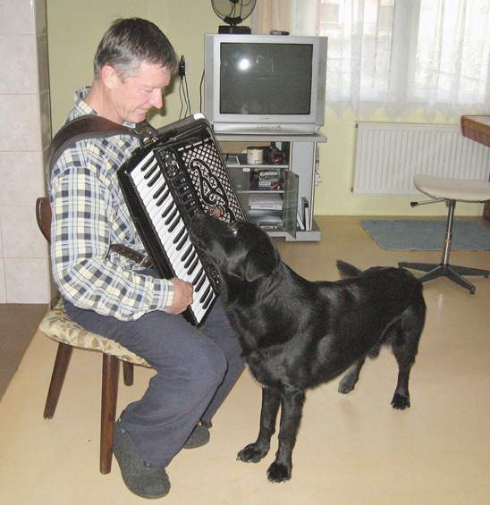 Posavska hrvatska, Slavonski Brod