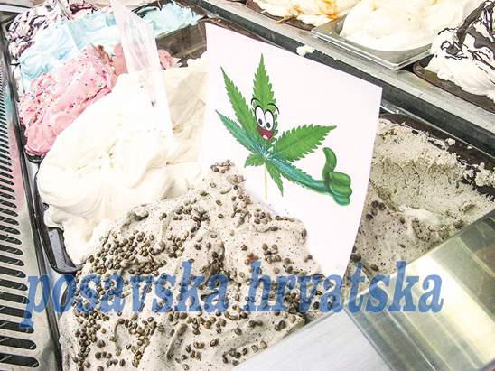 Posavska Hrvatska : Sladoled s konopljom!