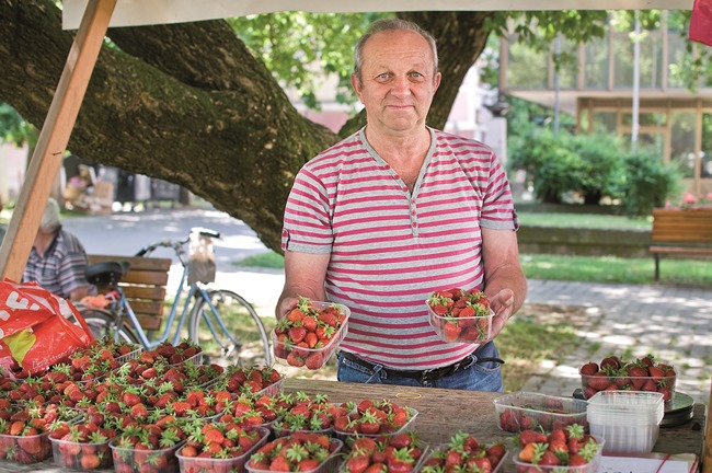 Aktualno : Specifična godina, ali dobar urod