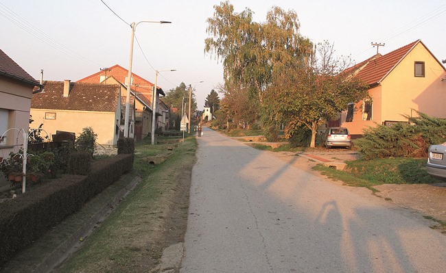 Posavska Hrvatska : Mladi ostaju u selu