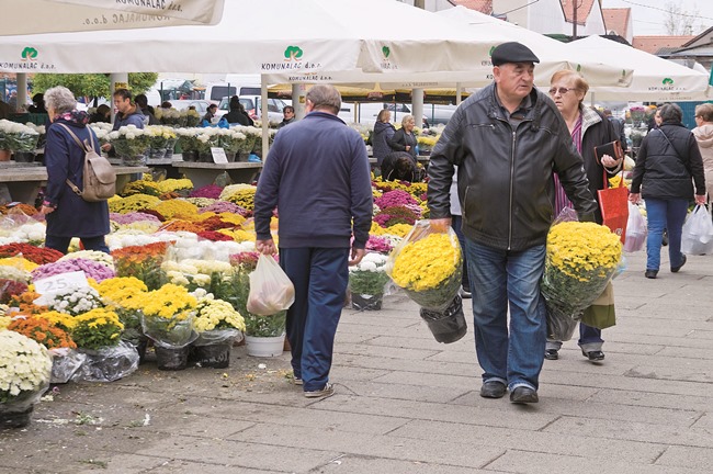 Aktualno : Na groblje se nose krizanteme