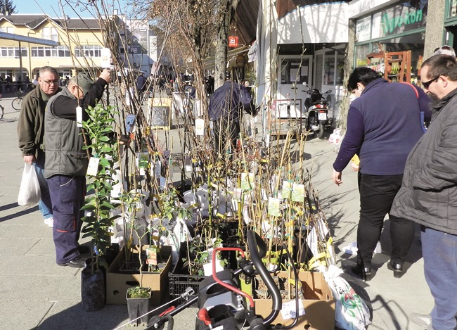 Gospodarstvo : Sadnja u doba mirovanja vegetacije 