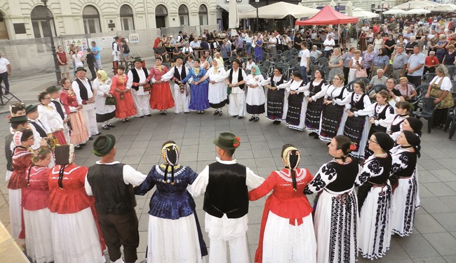 Posavska Hrvatska : Šokadija "Kola" uželila
