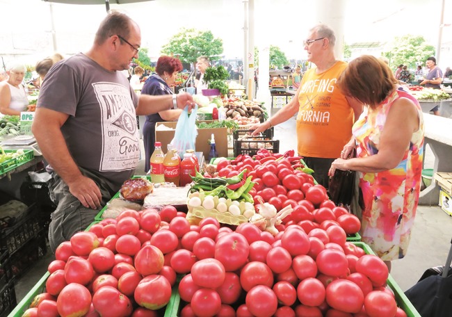 Život : Vaga važe, mahune se traže