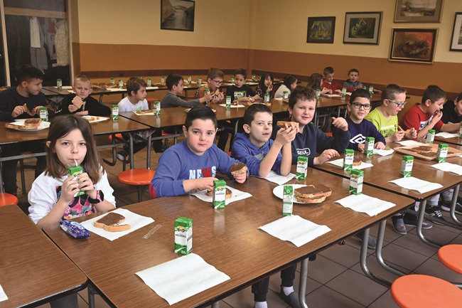 Školstvo : Škole dobro organizirane, učenici zadovoljni