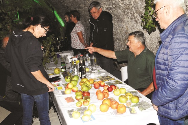 Posavska Hrvatska : U spomen na Vjeku