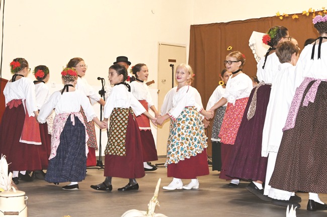 Posavska Hrvatska : Tamburica i mandolina