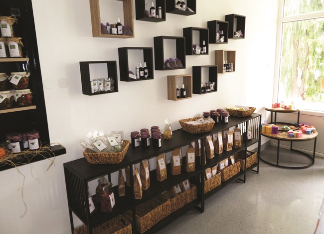 Školstvo : Srijeda je dan za domaće i prirodno 