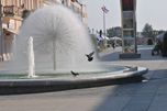 Posavska Hrvatska