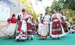 Posavska Hrvatska