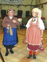 Posavska Hrvatska
