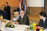 Posavska Hrvatska